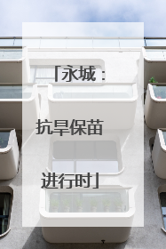 永城：抗旱保苗进行时
